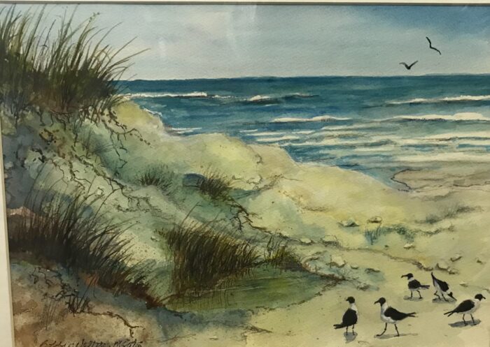 Seagulls on Beach