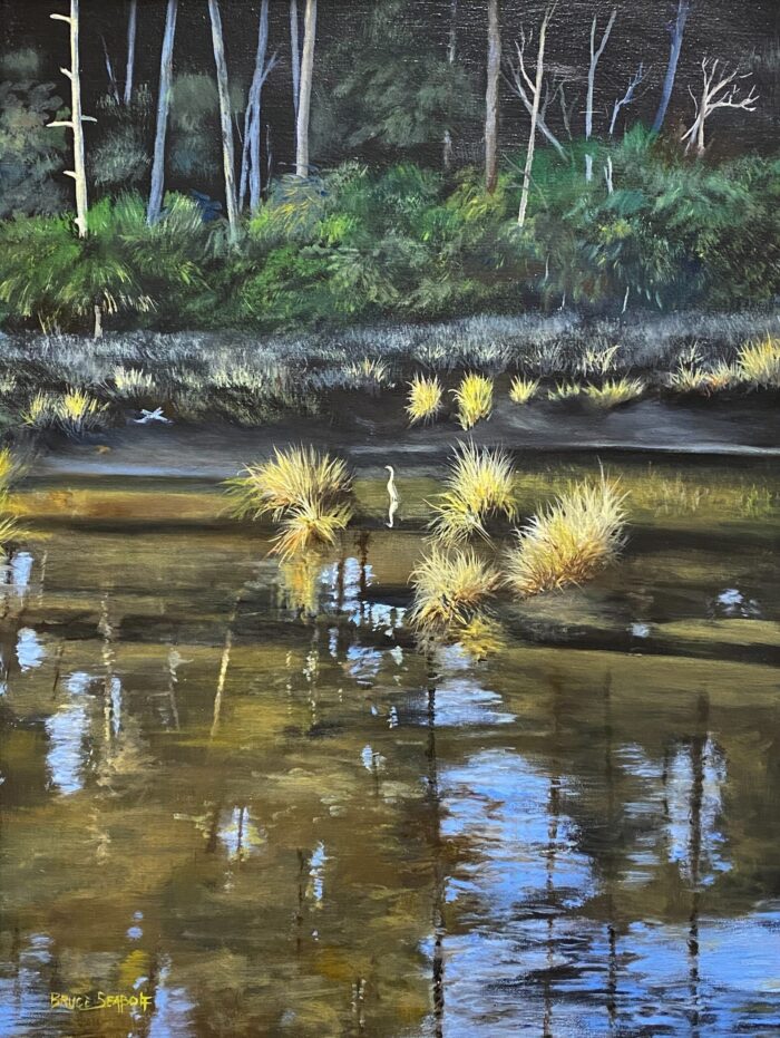 z-SOLD-Bayou Reflections