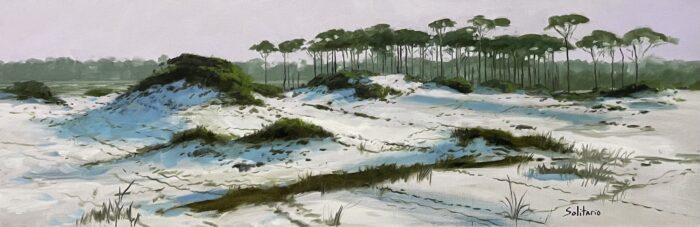Grayton Beach Pines