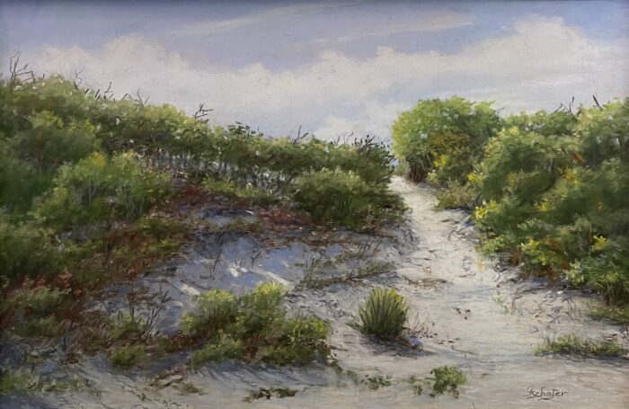 Beach Pathways
