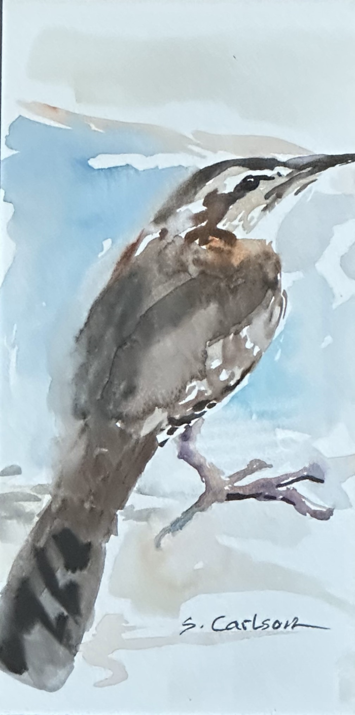 Brown Bird
