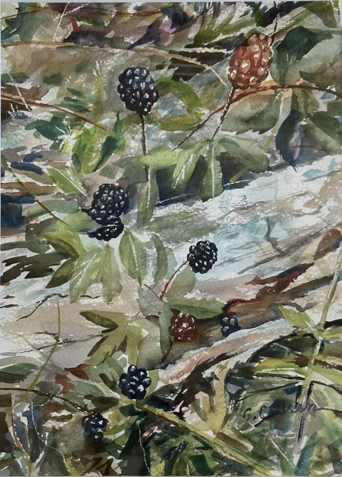 Blackberries & Wood