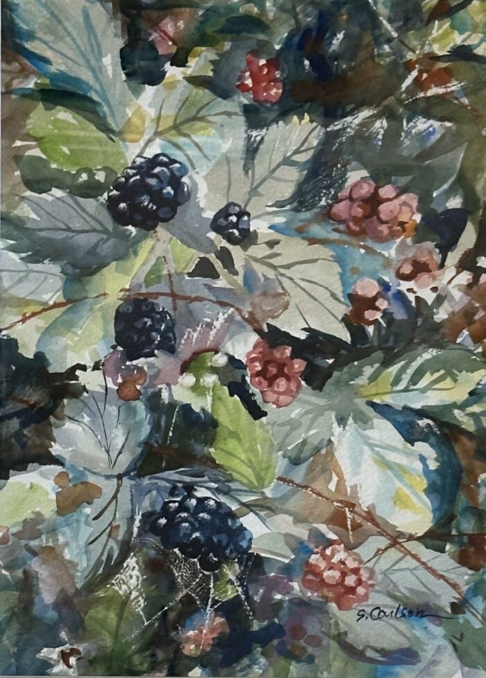 Blackberry Abundance